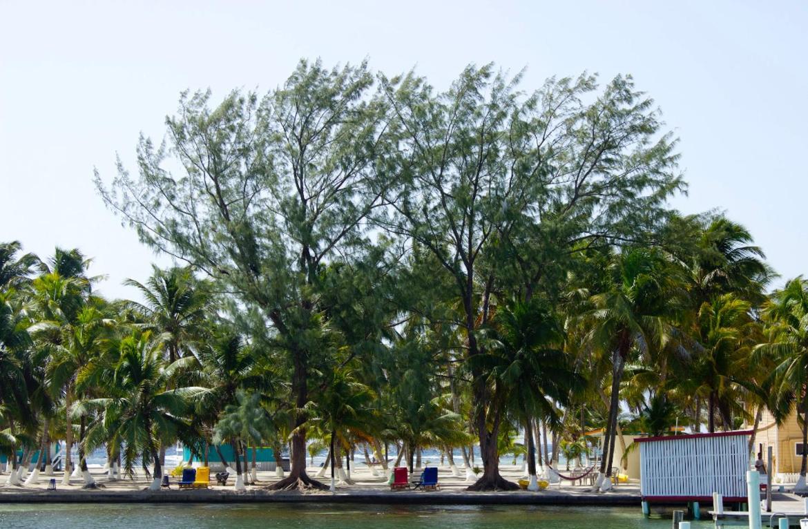 Blue Marlin Beach Resort Dangriga Luaran gambar