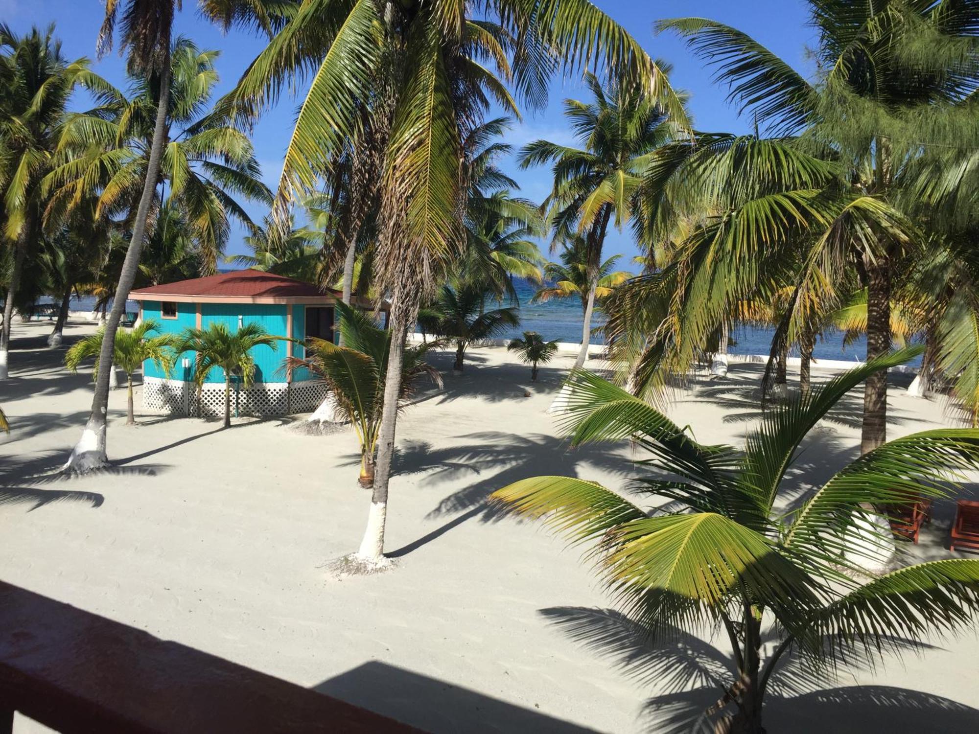 Blue Marlin Beach Resort Dangriga Luaran gambar