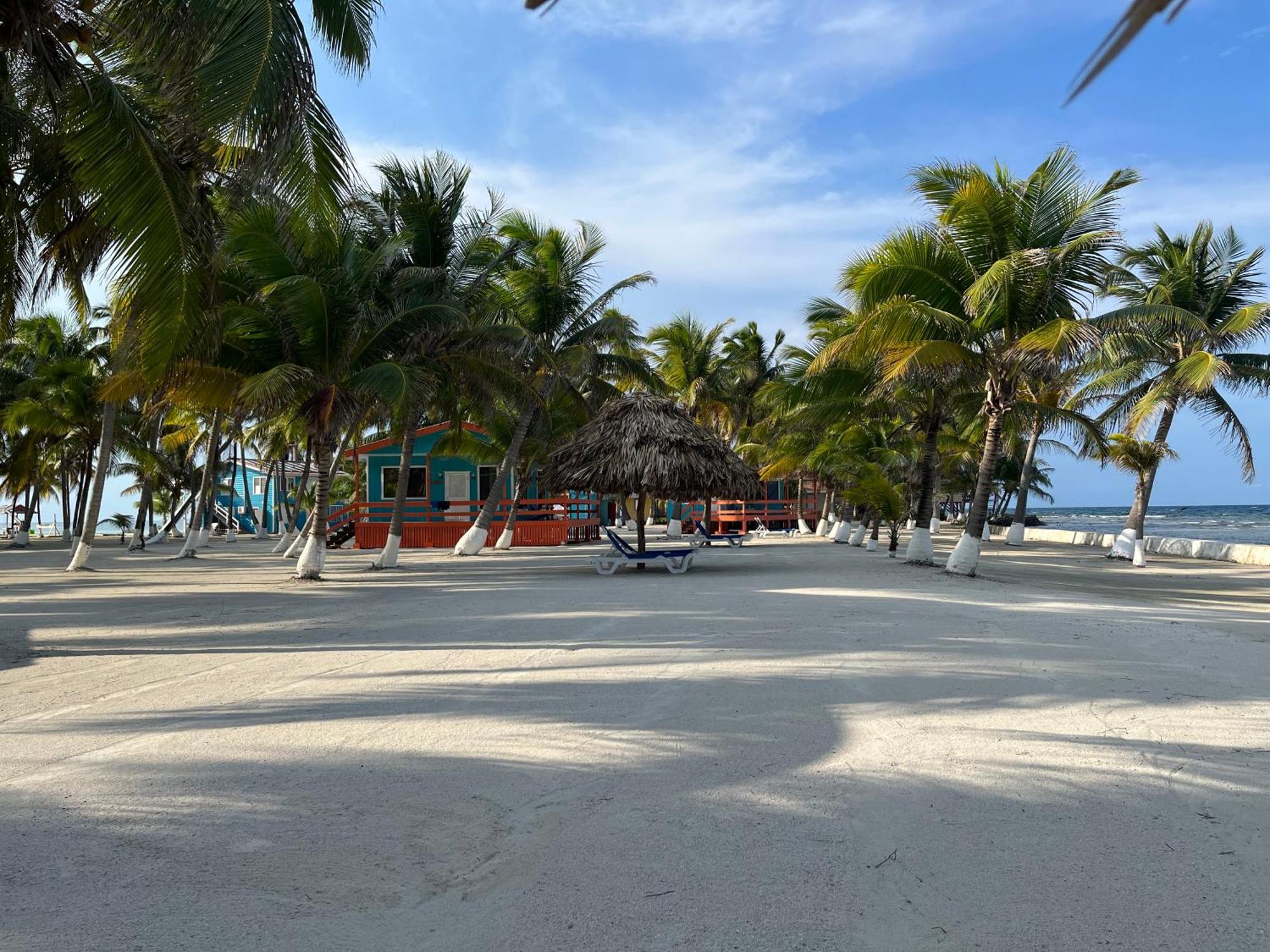 Blue Marlin Beach Resort Dangriga Luaran gambar