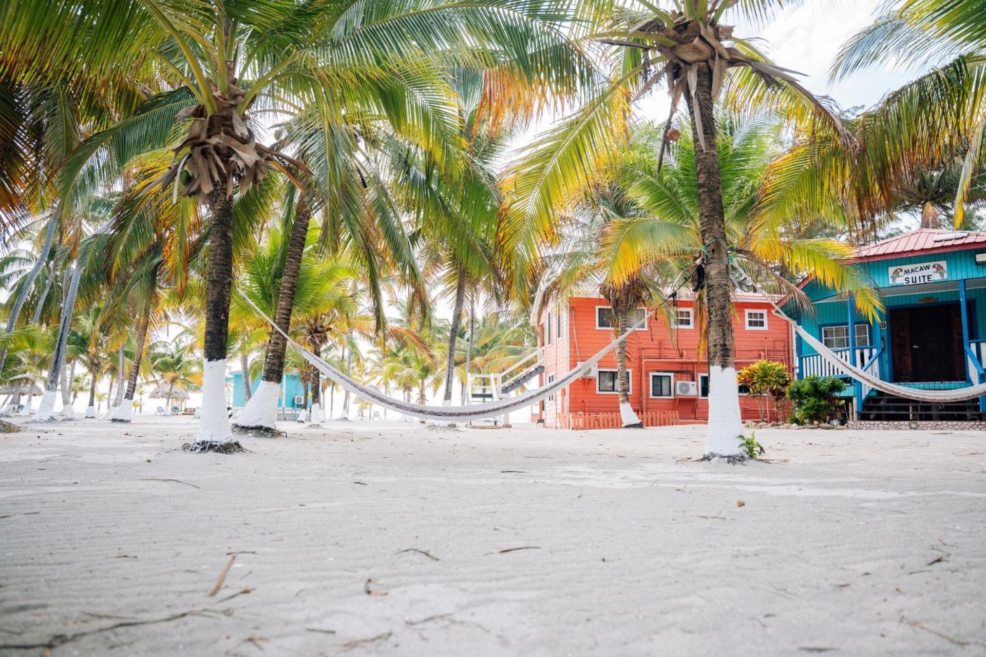 Blue Marlin Beach Resort Dangriga Luaran gambar