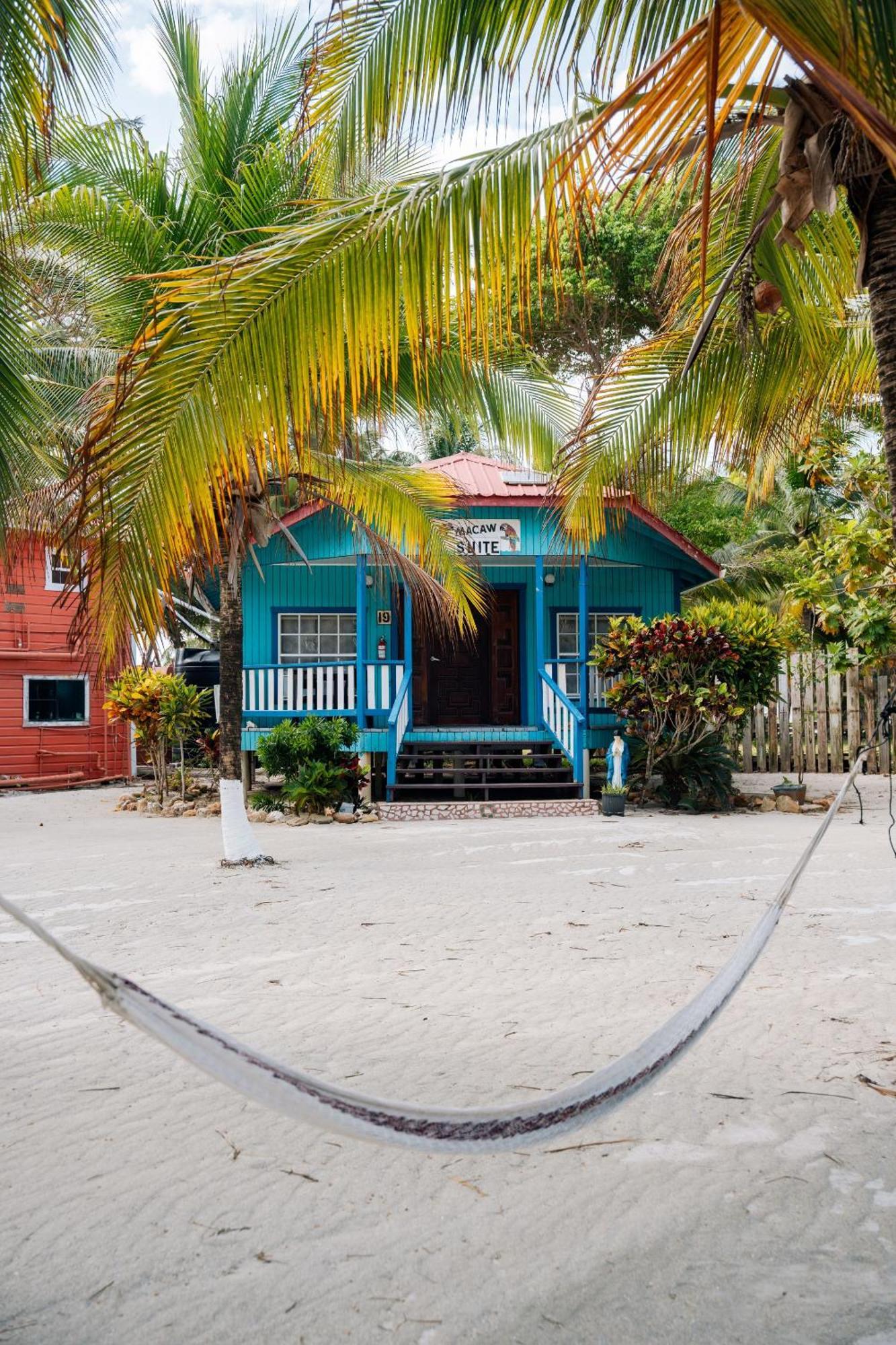 Blue Marlin Beach Resort Dangriga Luaran gambar